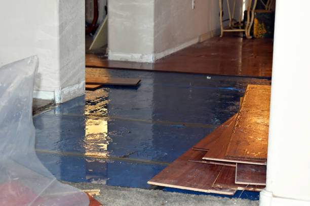 Professional Emergency Water Damage Restoration technician working in Purcellville, VA